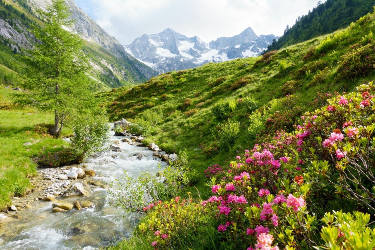 Monas Home Mayrhofen Zewnętrze zdjęcie
