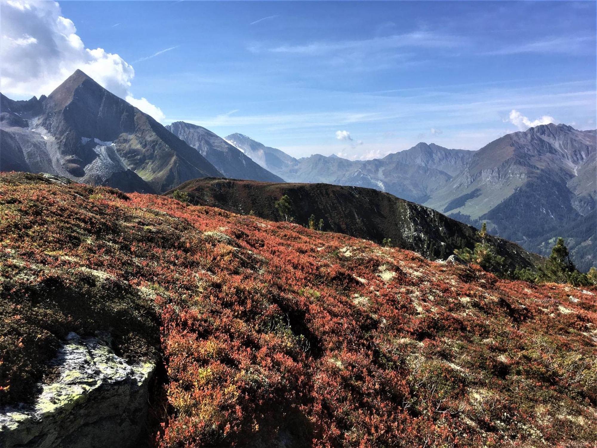 Monas Home Mayrhofen Zewnętrze zdjęcie